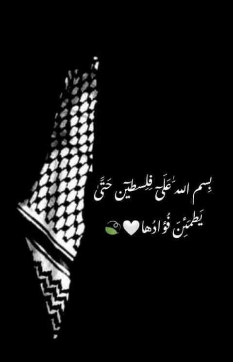 الأديب ♕ 🇮🇶 tweet media