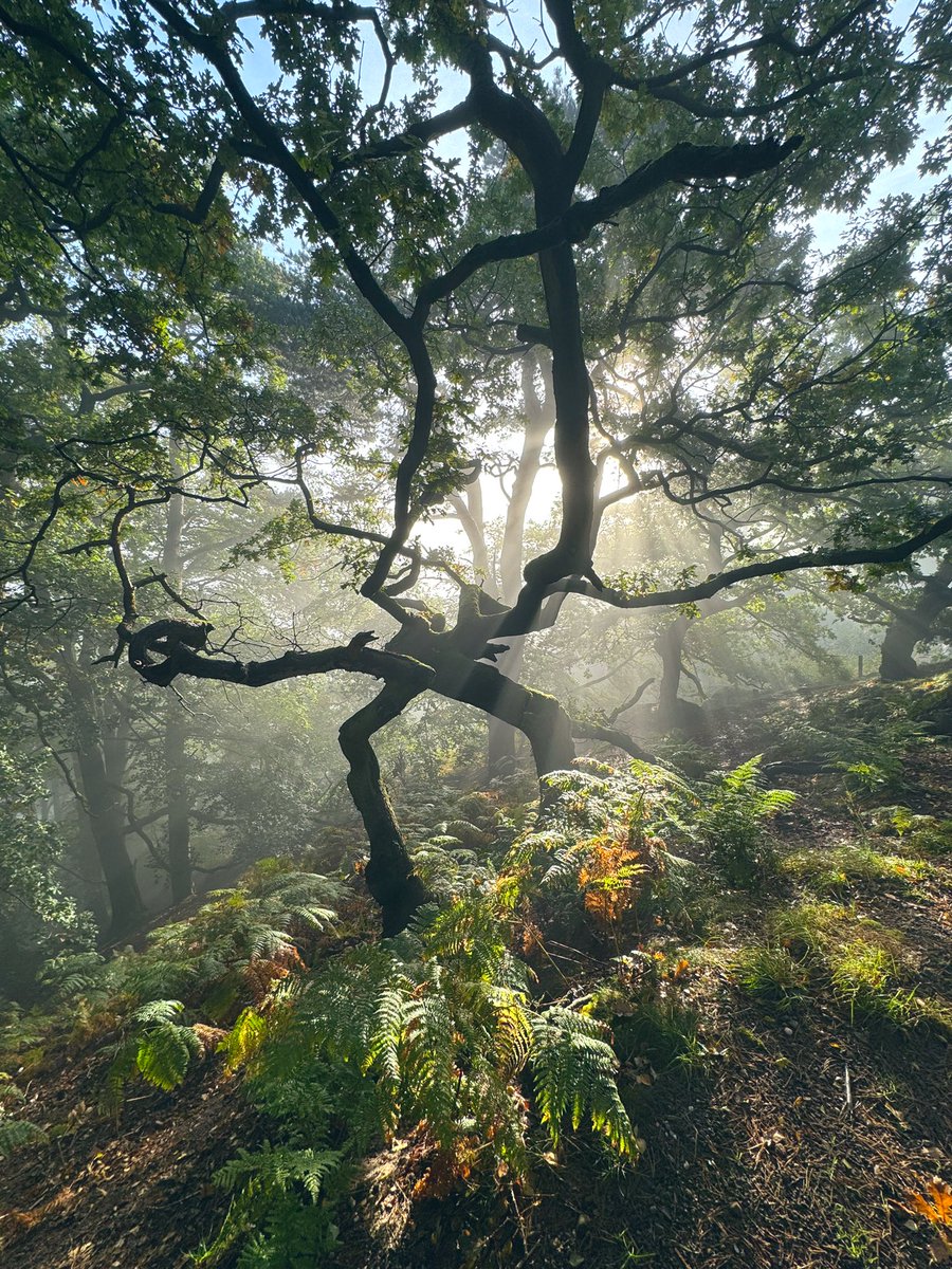 Nigel Danson tweet media