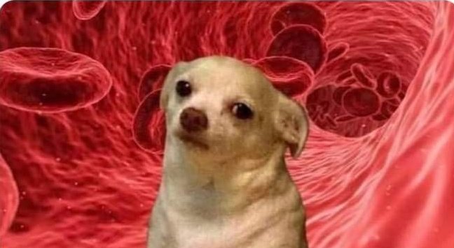 Moi : Enlève la croûte de la blessure

Les plaquettes de sang qui ont travaillés toutes la journée à la faire