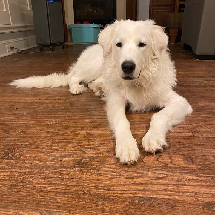 Spin Rescue tweet media