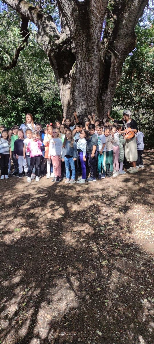 istmemmasal's tweet photo. 🏡İstanbul Masal Okulumuzun bugünkü misafirleriyle, 

🎊Eğlenerek, öğrendik
🏞️Dağları tepeleri aştık 
✨Masallar diyarında hayallere kucak açtık

@tcmeb @Yusuf__Tekin @MucahitYentur @DilekMaden11 @istanbulilmem @ist_arge https://t.co/gOtiUQqt3w