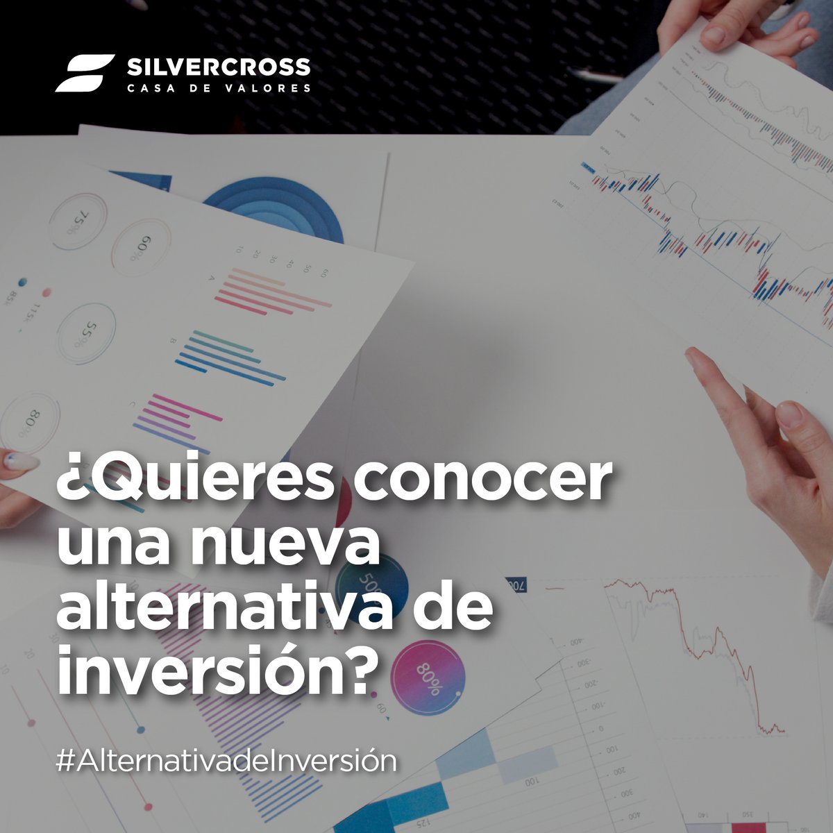 Silvercross S.A. Casa de Valores tweet media