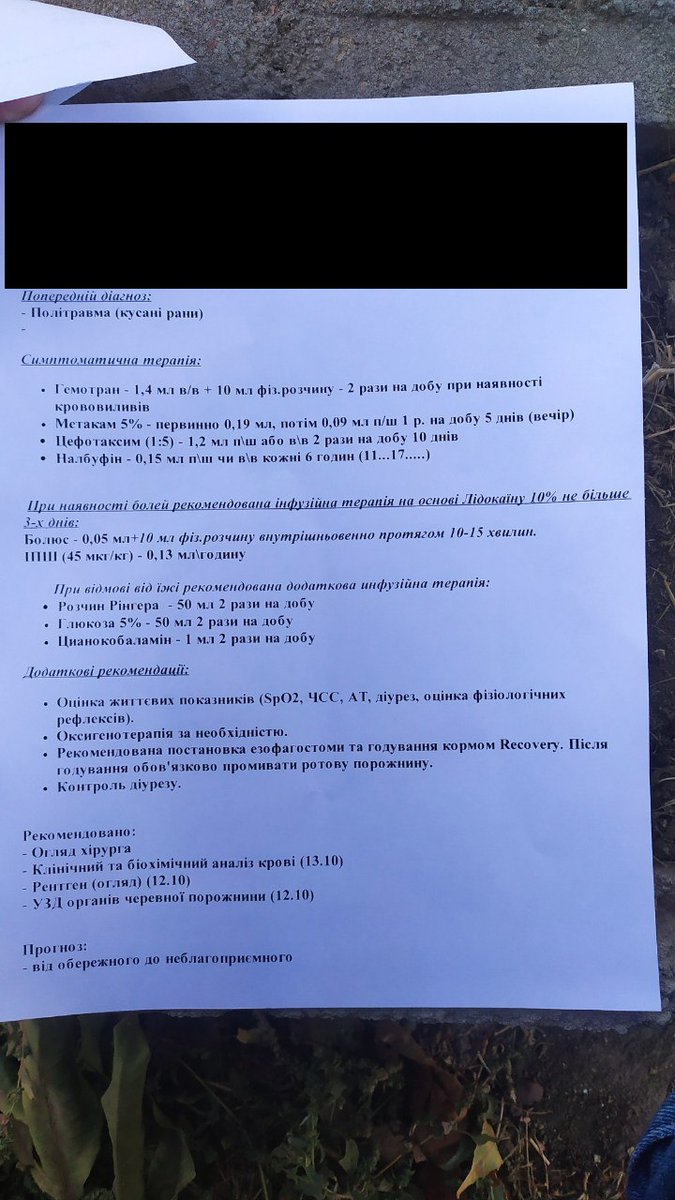 Іхор  tweet media