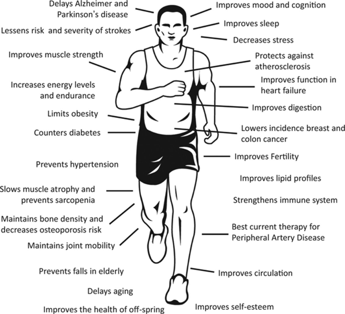 Omid_HopeUni's tweet image. Long-term multi-system benefits of regular endurance exercise👇

General musculoskeletal health benefits:
⤴️muscle strength
⤵️muscle atrophy
⤵️sarcopenia
▶️bone density
⤵️osteoporosis
▶️joint health/mobility
⤵️falls

#execise #health #endurance #muscle
ahajournals.org/doi/10.1161/CI…