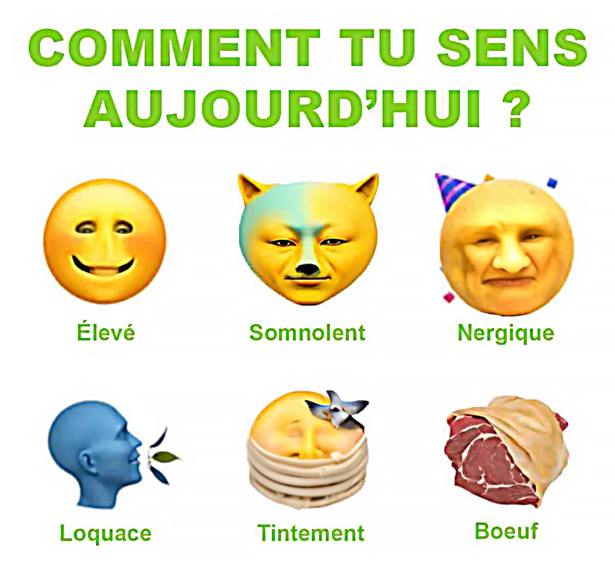 painjambe tweet media