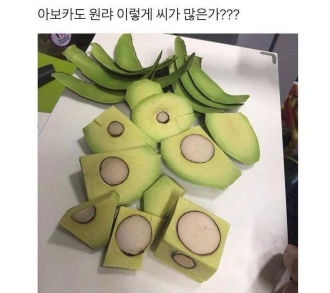 chel_again's tweet photo. 크롬의 아보카도 썰기 실력
카를: 너는 머리가 나쁜거 같진 않은데 왜 요리만 하면 이 모양인거냐? 
미하일: ... 
로드: 아하하하학 https://t.co/FaZnjTiOFa