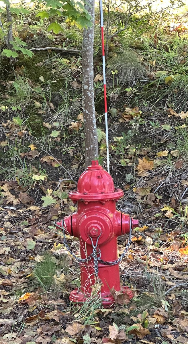 Michael Stephen Day 🎸 tweet media