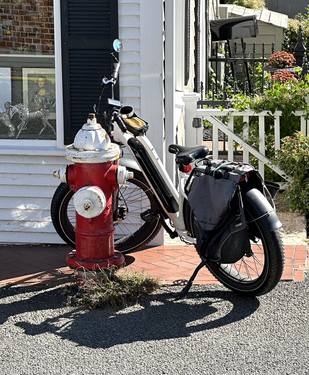 Michael Stephen Day 🎸 tweet media