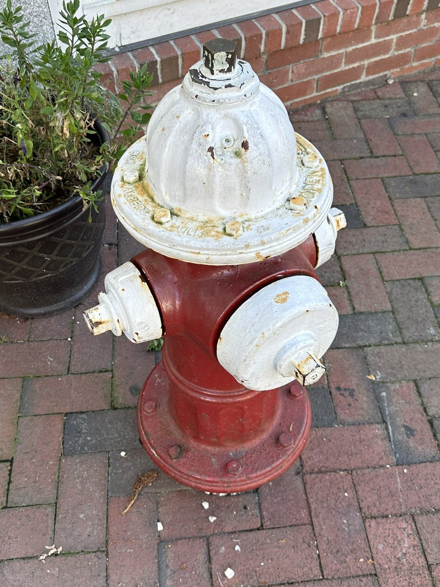 Michael Stephen Day 🎸 tweet media