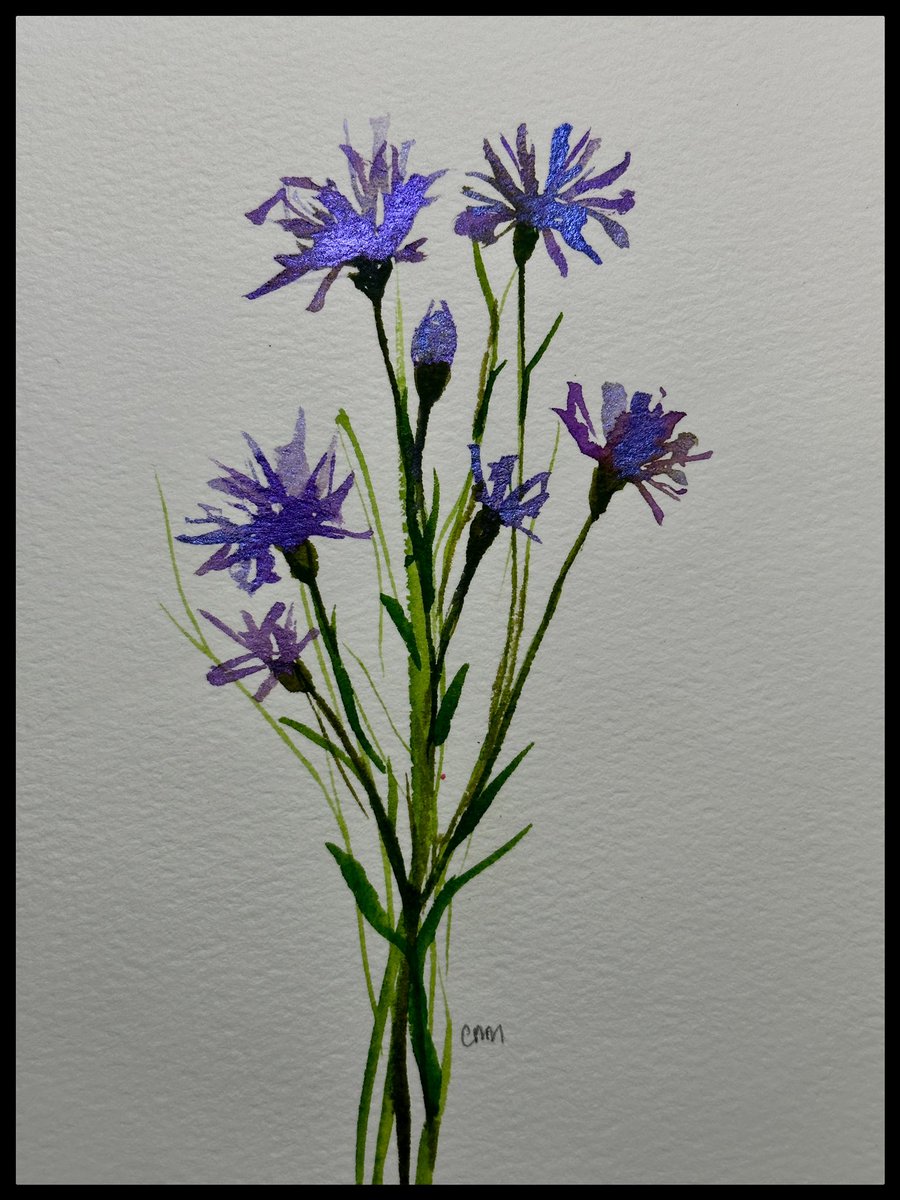 maricris_Artist's tweet photo. βIf you truly love nature, you will find beauty everywhere.β-Vincent Van Gogh #watercolorpainting #watercolordaily #watercolorartist #grateful #skillshare #skillshareproject #skillshareclass #taught by @biancarayala @skillshare #artappreciation #artjournal https://t.co/t7DPYNxNbU