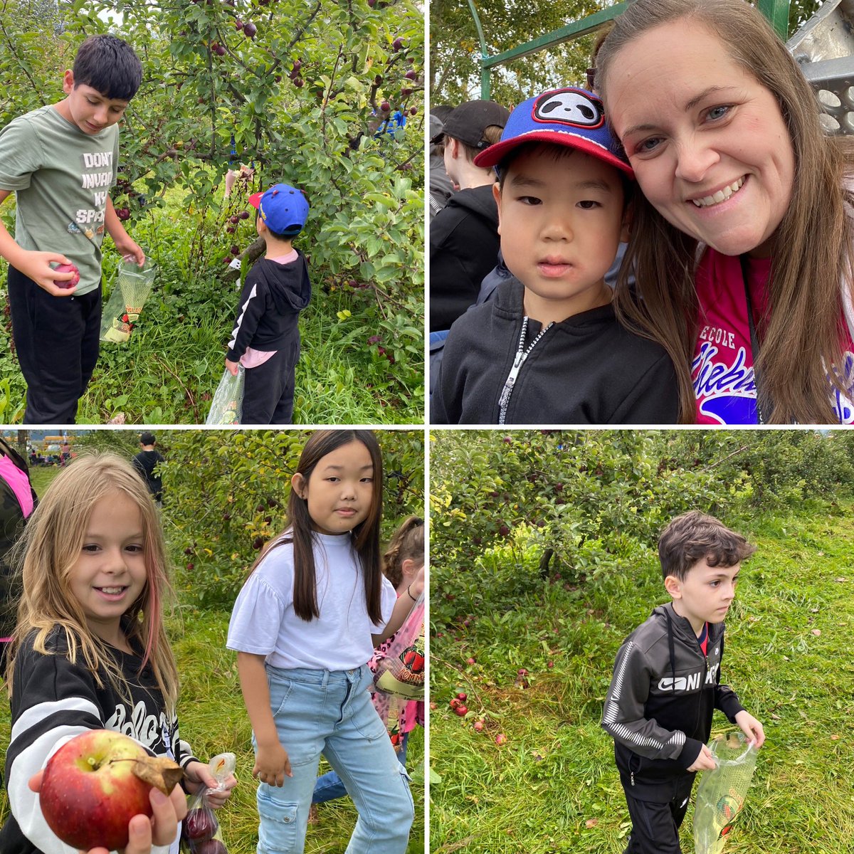 J. Heisler tweet media