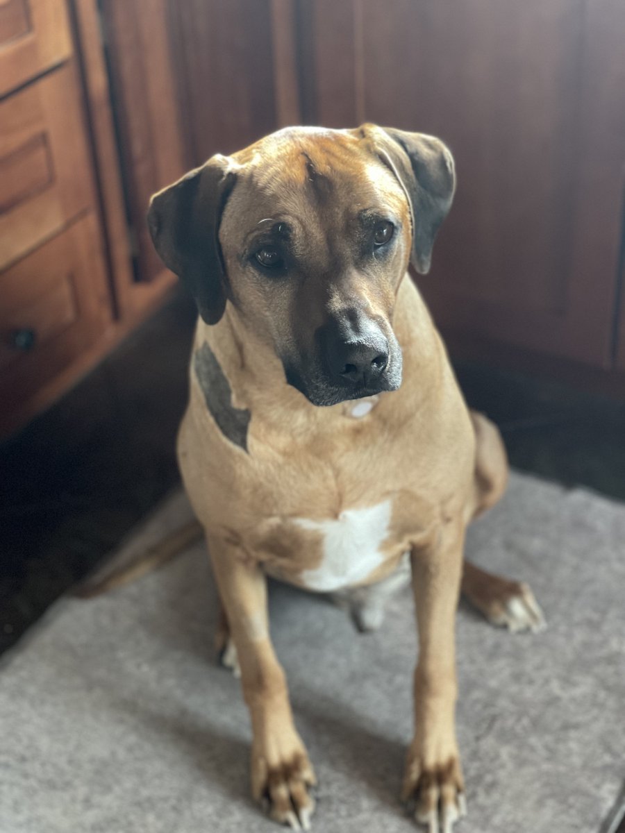 Dibz ♤ EDGE Poker app tweet media