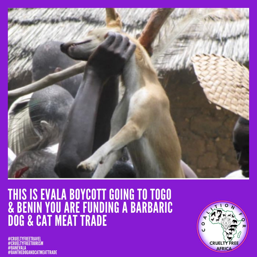 Ban the Dog and Cat meat trade 
#endanimalcruelty #animallover #defeatdogmeat #koreannews #animaladvocate #animalrights  #animalactivist #heartbreak #voiceforanimals #downwithdogmeat #stopdogmeattrade