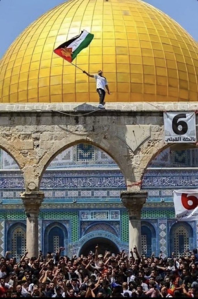 mosh3fl's tweet photo. #Every_Palestinian_is_oppressed https://t.co/1uB0nptPwI