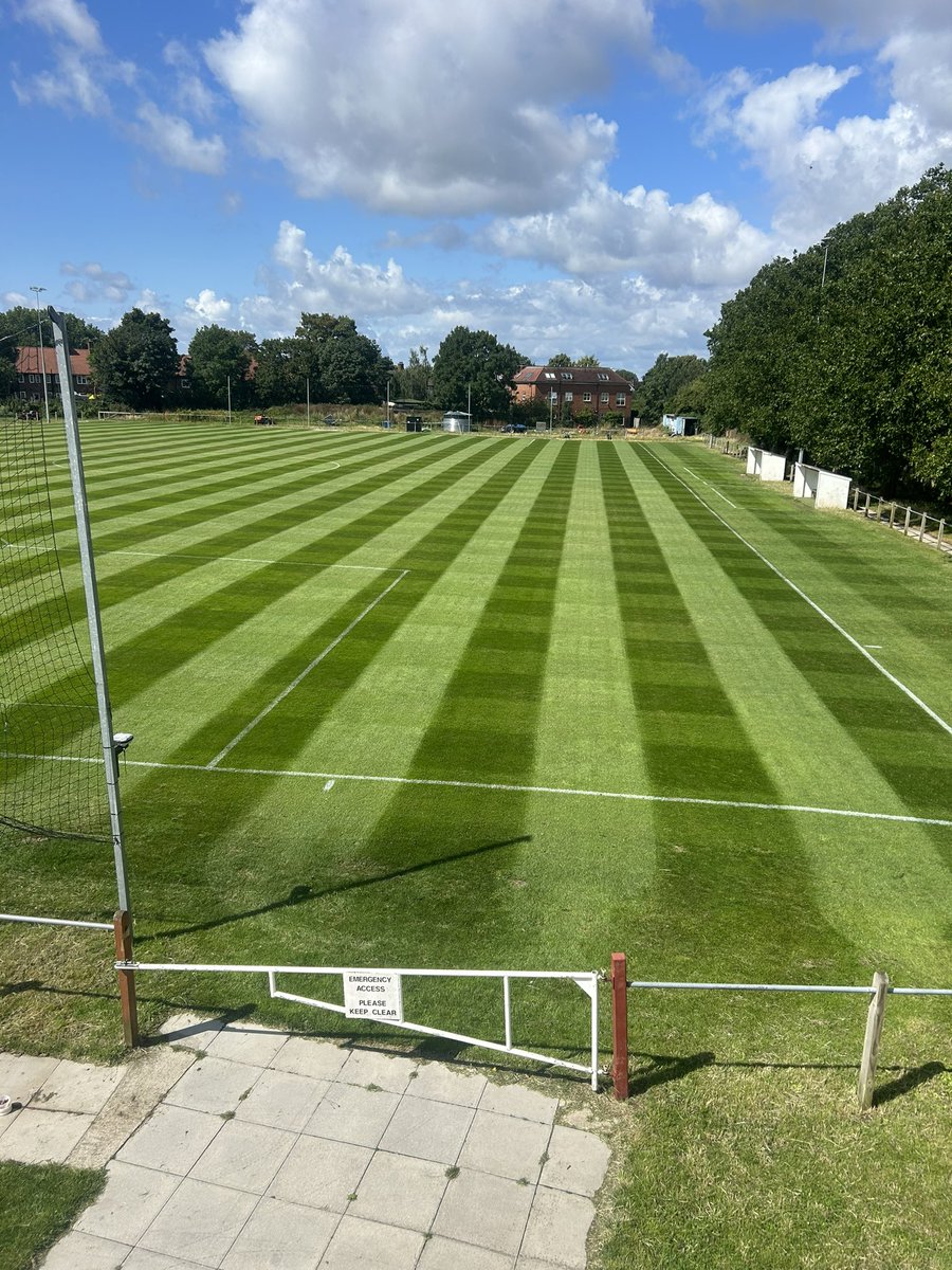 Tony Provan tweet media