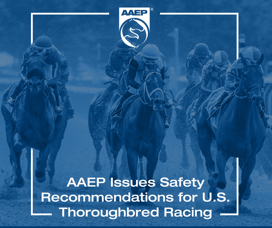 🆕The AAEP published a series of safety recommendations with the goal of complementing the current risk assessment processes already in place for Thoroughbred racing in the United States. Read more on our website at aaep.org/news/aaep-issu…