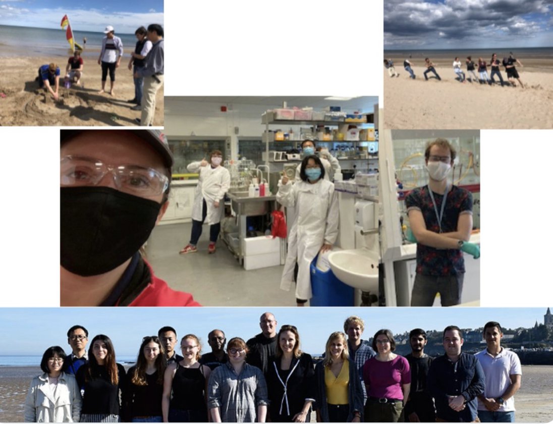 Fully funded #PhD studentship: Blending Synth #Chem + #SyntheticBiology in our friendly, diverse+dynamic group @univofstandrews #sustainability #medchem Enquiries from excellent national + international candidates welcome. Also #CSC opportunities ! Please RT