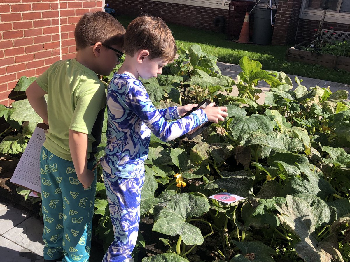Enjoying this beautiful fall day with some  virtual  pumpkin picking fun! 🎃 <a href="/MsAmzler/">Ms. Amzler</a>