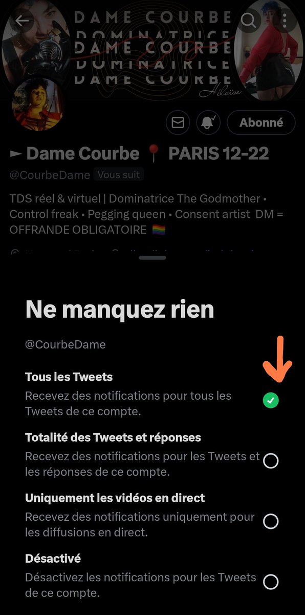 ⚠️ TWITTER CENSURE LE NSFW ⚠️
Le contenu nsfw vient d'être retiré des feeds "for you / pour vous", ce qui explique pourquoi on n'y voit plus rien et pourquoi les vues et interactions des tweets de TDS ont dramatiquement chuté depuis deux jours. 

Trois solutions d'ici à ce que