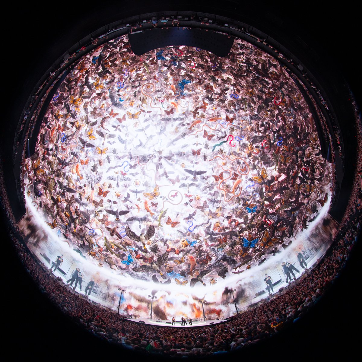 U2's tweet image. U2:UV Achtung Baby, Live at Sphere. VI.
📸: Ross Stewart