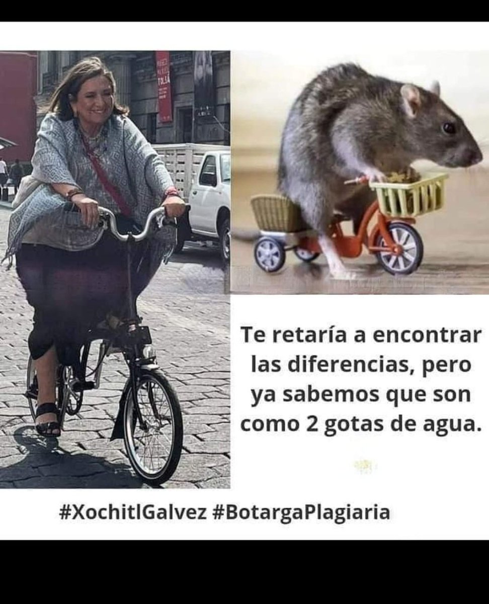 santos25's tweet photo. @ClaudioXGG 🤣🤣🤣🤣🤣#OposicionCadaVezMasPndeja #XochitlCorrupta #OposicionTotalmenteDerrotada #AMLOLujoDePresidente #EsClaudiaPresidenta2024 #Morena2024 https://t.co/XbmFoKDUYb