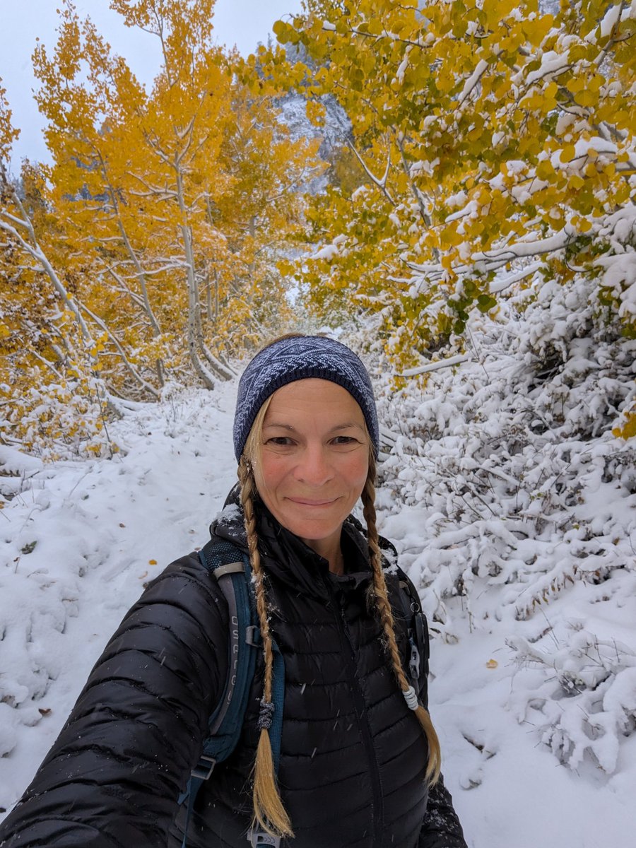 SliceOSunshine's tweet photo. One last fall colors hike in BCC today. Who can resist snowy aspens? #fallcolors #aspens #snow #Octobersnow #hikeutah #hikingadventures #beUTAHful #bcc #firstonthetrail #sunrisehike @ChaseThomason @fox13 @KSL_Matt @KSLcom @NWSSaltLakeCity @UtahIsAwesome @WasatchSnow https://t.co/391nwqQUw5