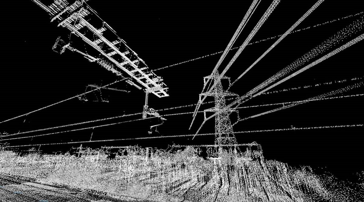 Noel Dolphin tweet media