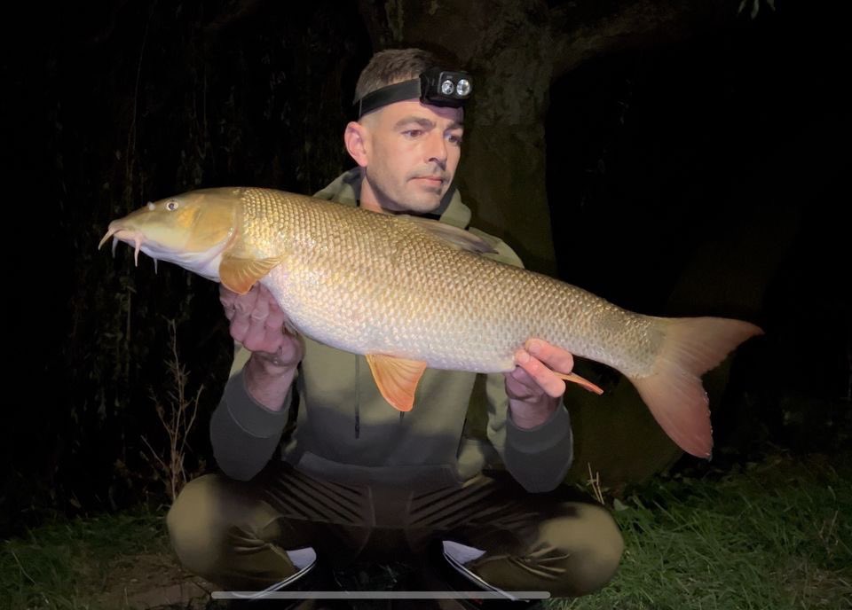 Mainline_Match's tweet photo. An angler doing well down on the river Trent is Lee Burton. This lot came from a session on Sunday which resulted in 6 barbel, biggest going 11lb. All caught on single Big River Barbel Dumbells, fished with cage feeder filled with 4 and 6mm Halibut Pellets 👏💪 https://t.co/VneoYtxKF3