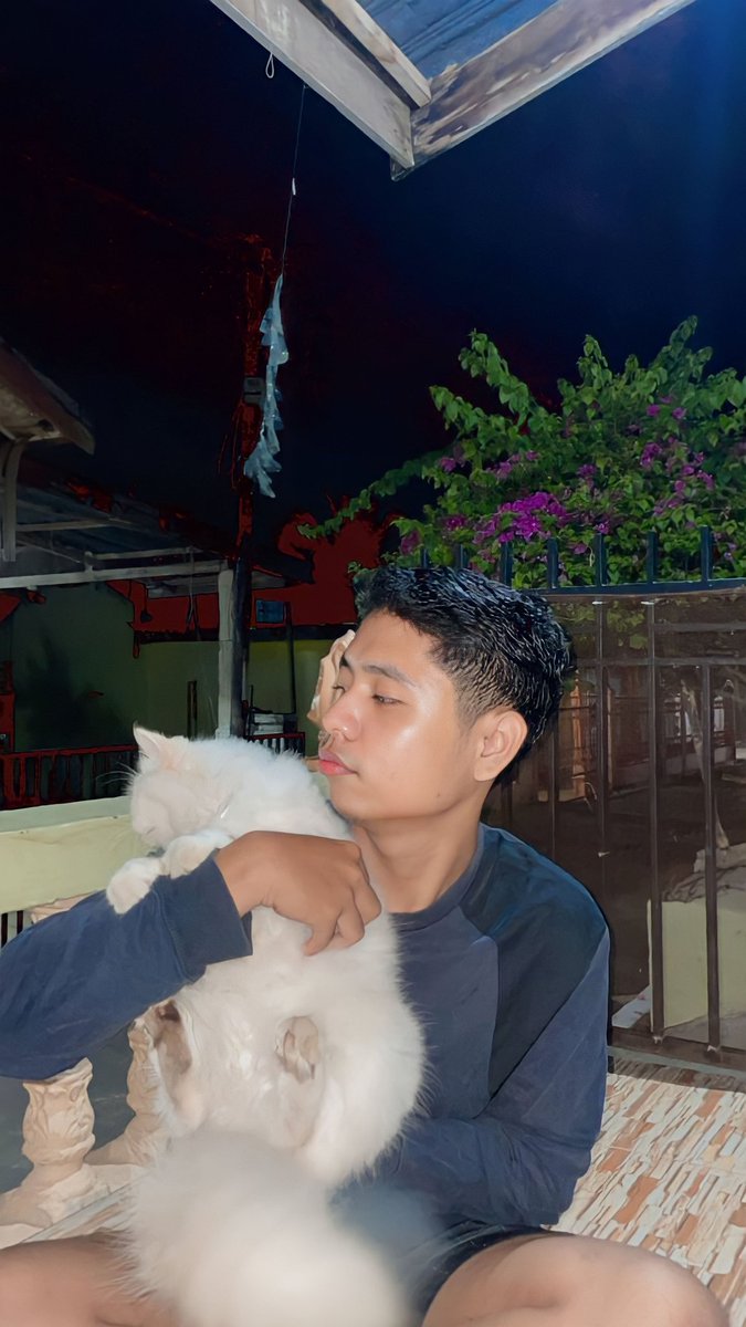 AnggaBasro's tweet photo. Kucing aja kusayang apa lagi kamu😁😁😁 https://t.co/NCx8GaEF8s