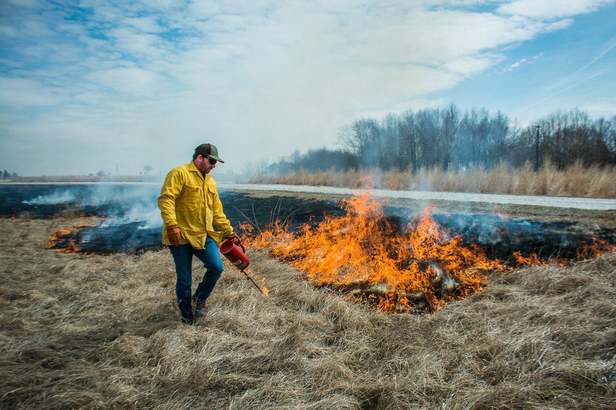 For years, Pheasants Forever and Quail Forever have made the case for the climate benefits of conserving grasslands and uplands. While our work to conserve pheasants, quail, and other wildlife over the last four decades may not have always carried the “climate-smart” moniker, the