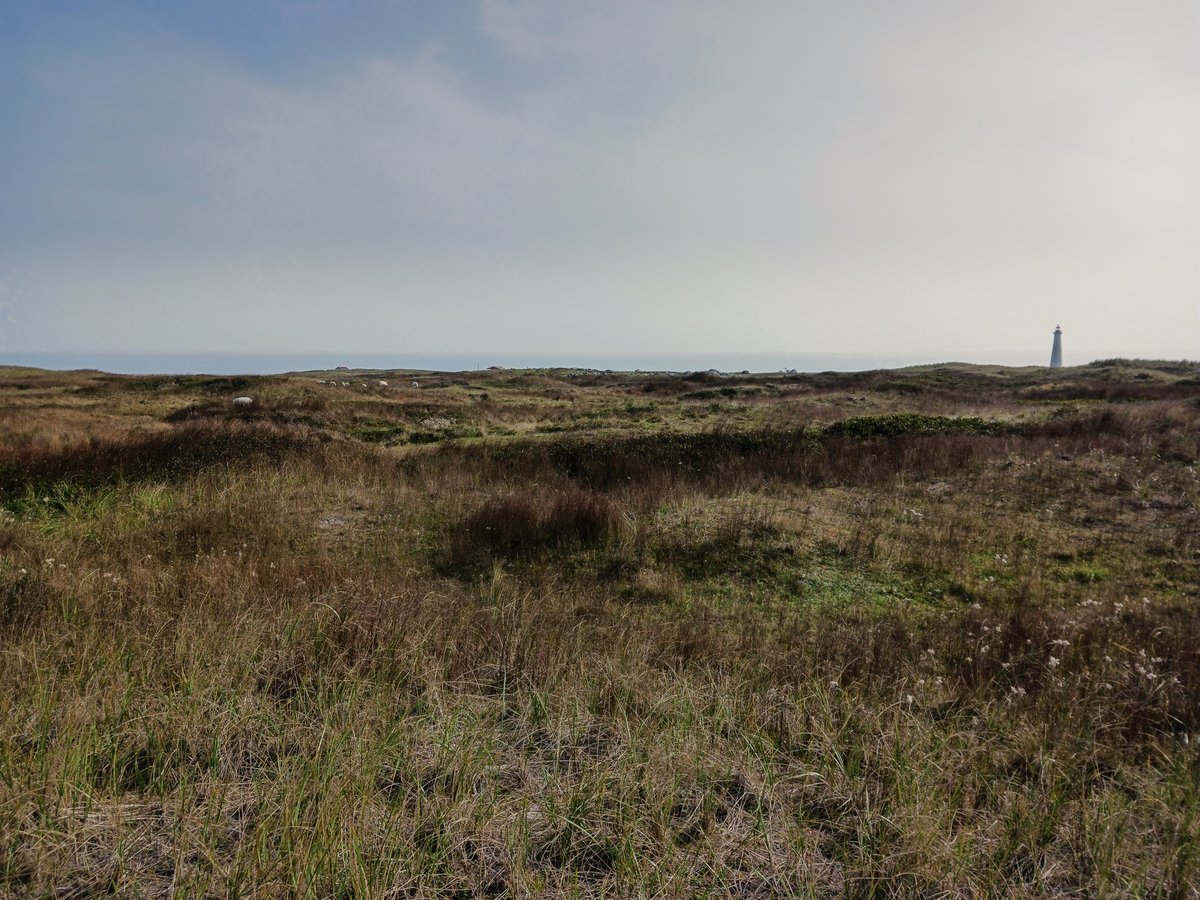 ImagesCoast's tweet photo. Samsung cell phone shots of The Cape Light at Cape Sable, Shelburne County, Nova Scotia, Canada October 1st 2023 #barren #lighthouses #capesable #NSlighthouses #capelight https://t.co/nalQYB8gpV