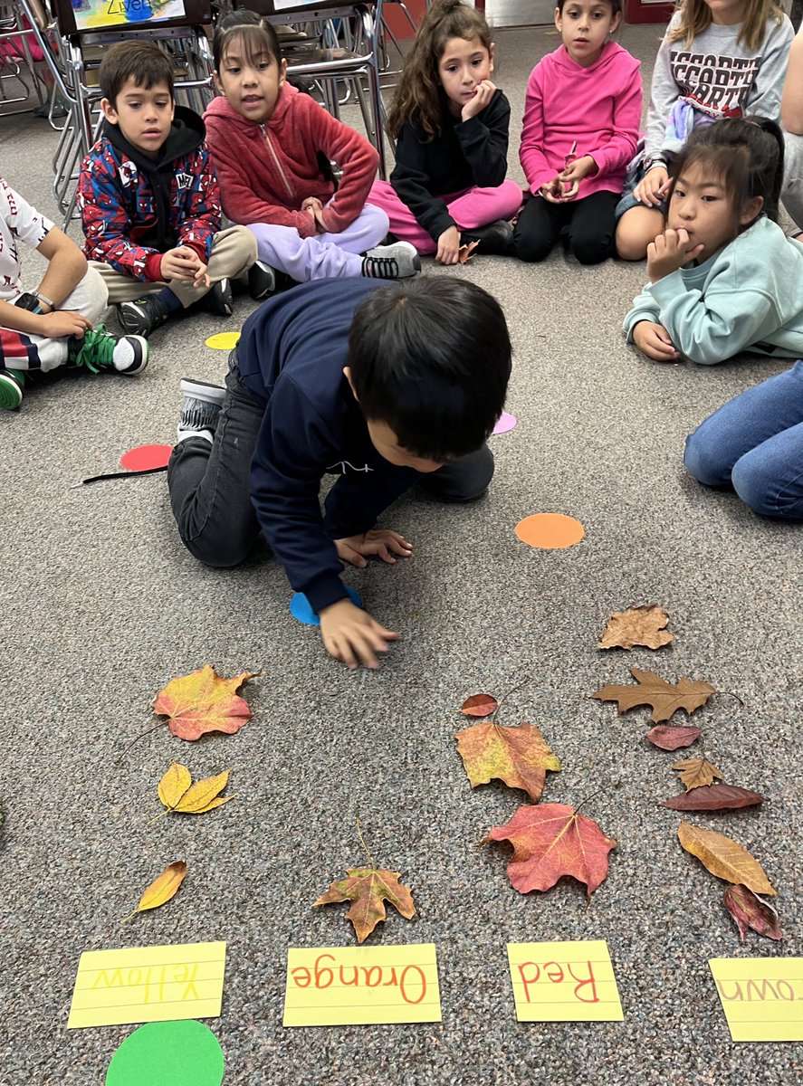 Miss Cross (@cross_mccarty1) on Twitter photo One of my favorite fall projects. Leaf investigation, graphing, and leaf man creations! <a href="/mustangpride204/">McCarty Elementary</a> One of my favorite fall projects. Leaf investigation, graphing, and leaf man creations! <a href="/mustangpride204/">McCarty Elementary</a>