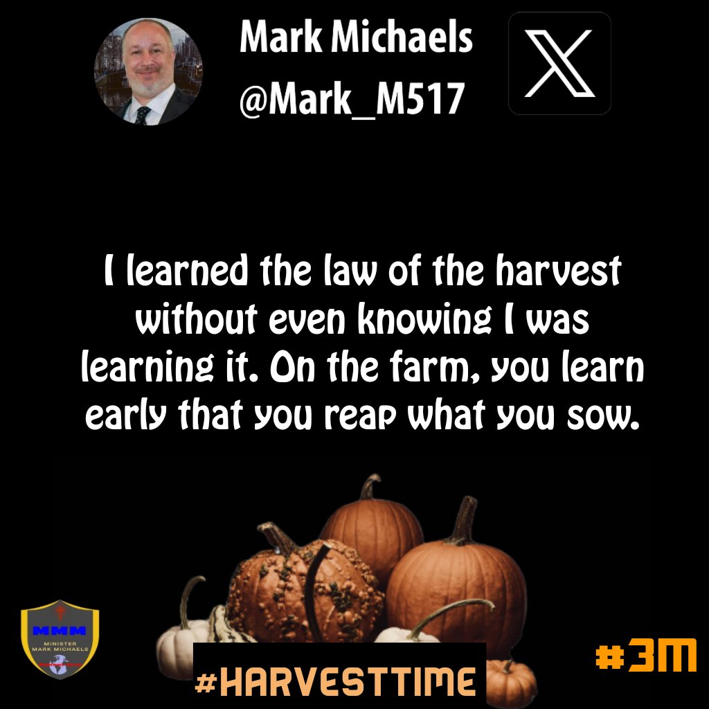 I learned the law of the harvest without even knowing I was learning it. On the farm, you learn early that you reap what you sow.
#HarvestTime #3M #seedtimeharvest #kingdomliving #reapwhatyousow #harvestsow #inseason #kingdomminset #godswill #marriagegoals #values #husbandready