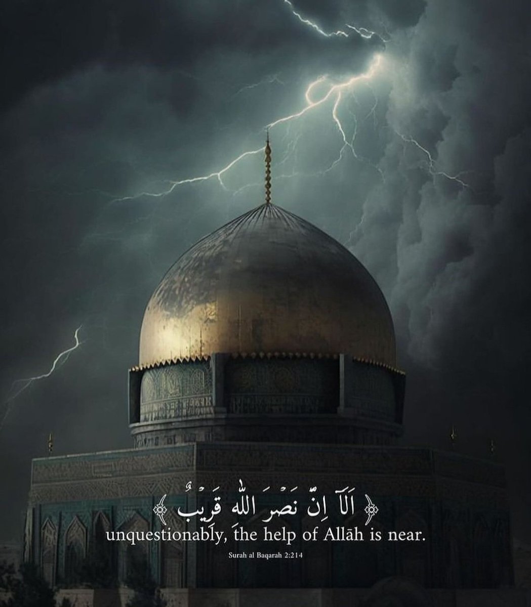 afia_qamar's tweet photo. #طوفان_الاقصى_  #FreeGaza #palastine #IStandWithPalestine #IStandWithGaza https://t.co/xyTzU8Ght6