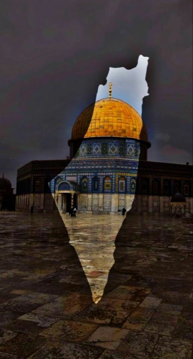 {إِن يَنصُرْكُمُ اللَّهُ فَلَا غَالِبَ لَكُمْ}
   اللهم احفظ بيت المقدس واهله وأنصرهم نصرآ عزيزا...♡
#طوفان_الاقصى_ 
#غزة_الآن