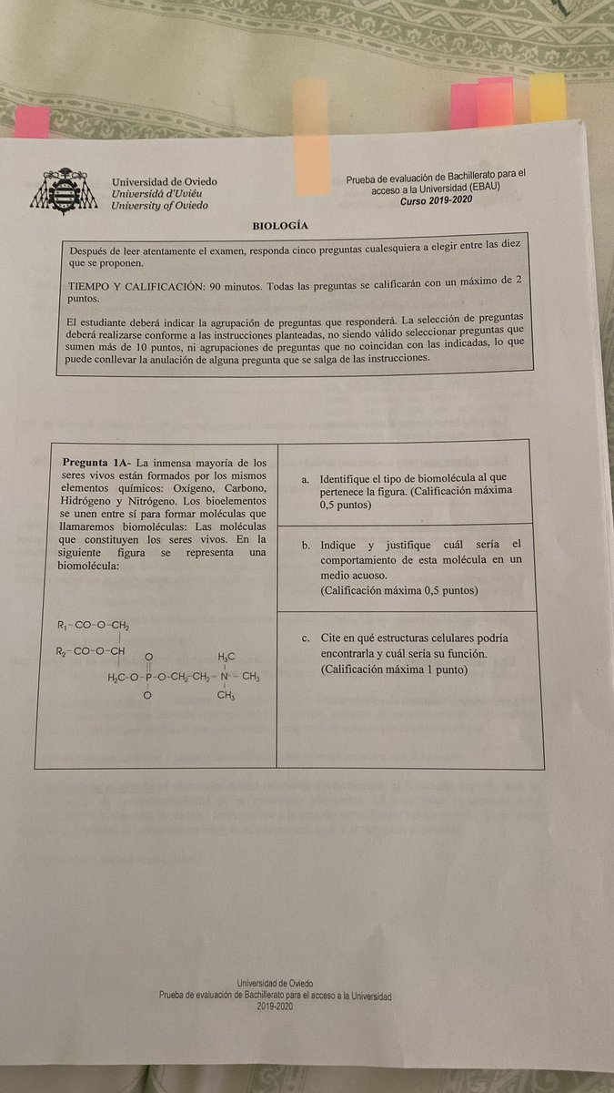paaulafonso's tweet photo. @nndres_ broma https://t.co/a9fZlH6rVb