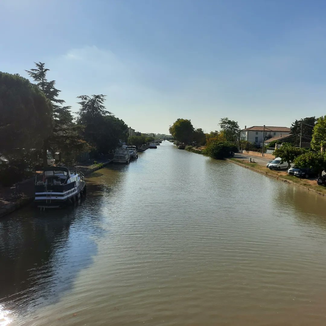 MagnoliaFrance's tweet image. Today, a lovely walk through the vineyards from #Azille to #Homps