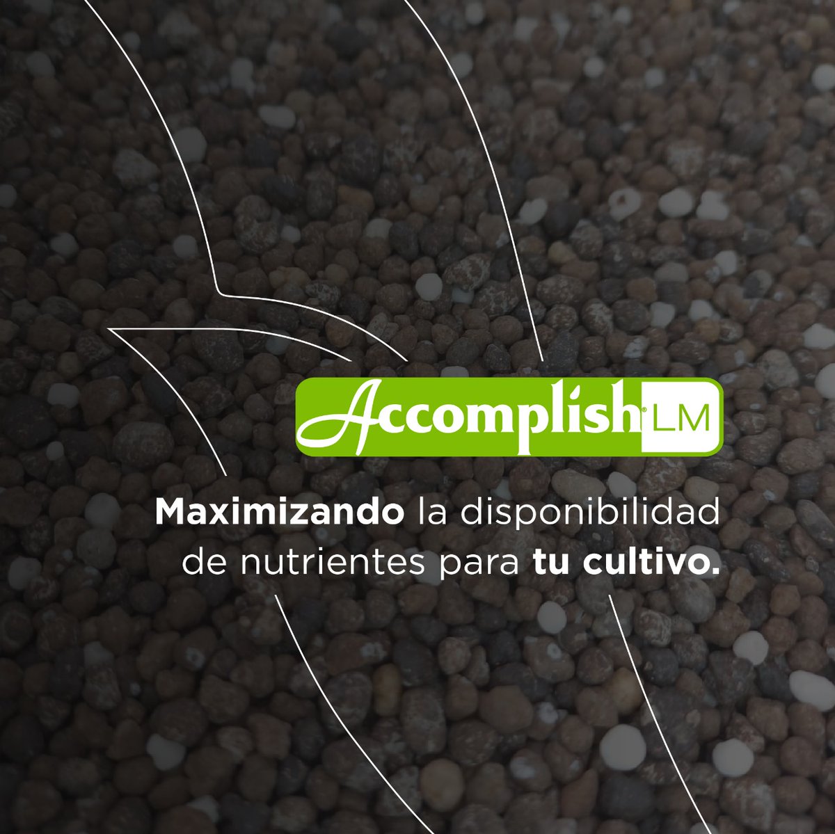 ¡Accomplish LM! 📈

➡️ Este producto se impregna en los fertilizantes fosfatados, favoreciendo la disponibilidad del fósforo, tanto del fertilizante como del suelo.

¿Ya lo probaste? 
¡Escribile a tu consultor técnico así puede asesorarte de la mejor manera!

 #MásNutrienParaVos