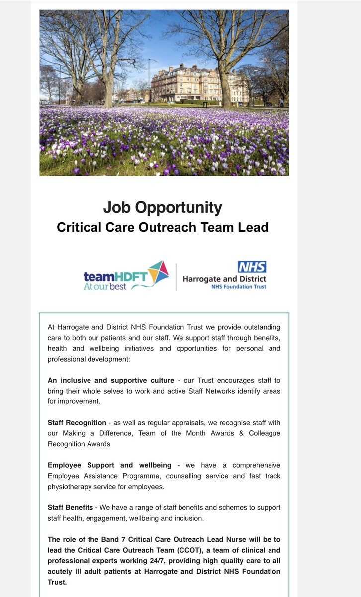 Sarah Marsh tweet media