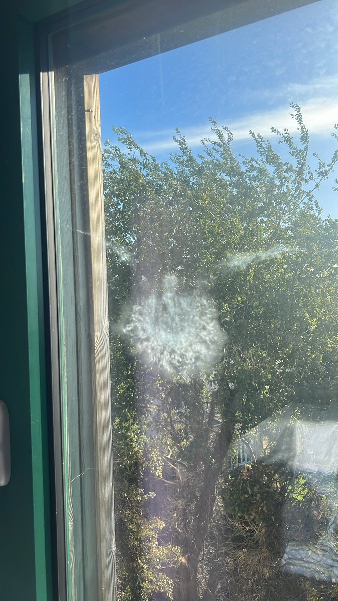 RobbieSchles's tweet photo. A bird tried to kill me — As my youngest always says, “better luck next time!” https://t.co/dHs5LMmjG5
