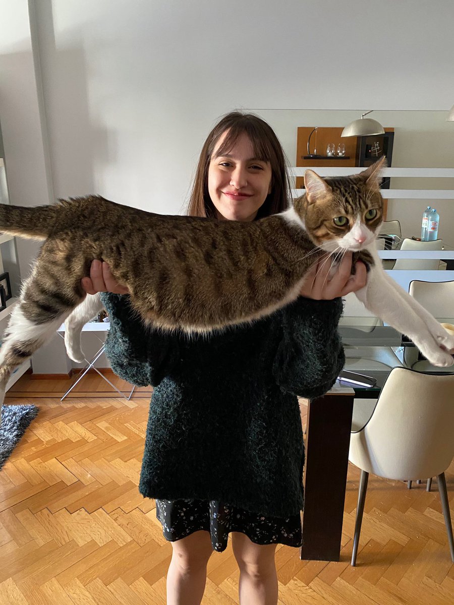 panchuque_'s tweet photo. @ailupe Dejo más evidencia para los que mencionan acertadamente el tamaño descomunal del gato https://t.co/T3oaYRSBNd
