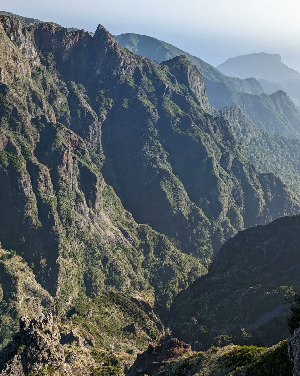 Katie Pether tweet media