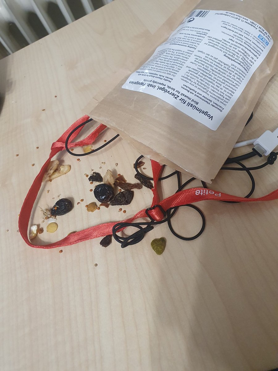 birbies's tweet photo. Mom calls this "harness training part 1" but we call it snack time https://t.co/YgE1XPwcVs