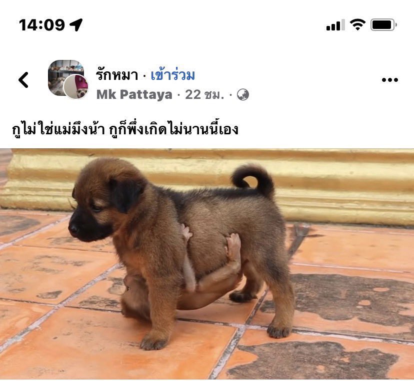 ยู ย้วย❕ tweet media