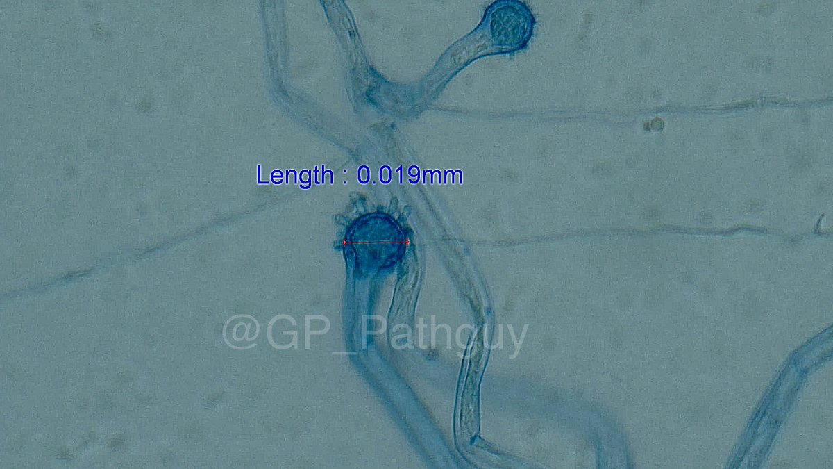 Glenn Murray tweet media