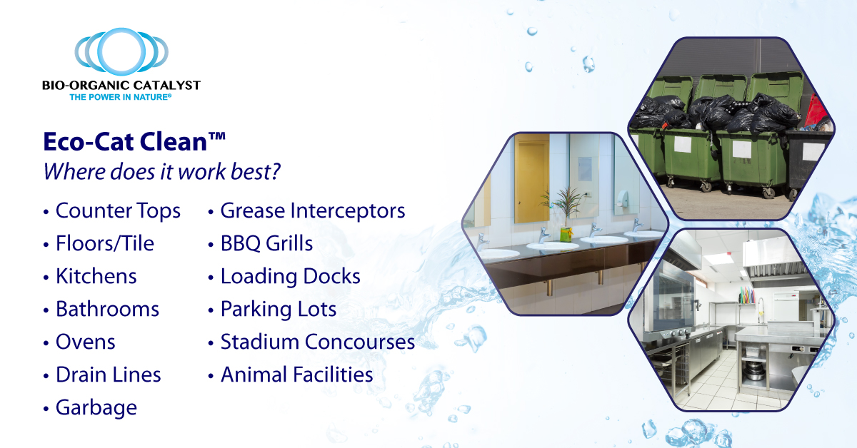 BioCata's tweet image. Eco-Cat Clean is built on a technology that has proven results in keeping pipes and drains free flowing and odor free!   Learn more: bio-organic.com/eco-cat-clean/

#cleanfacility #odorfree #cleandrains #biocatalyst #floorcleaner #draincleaner