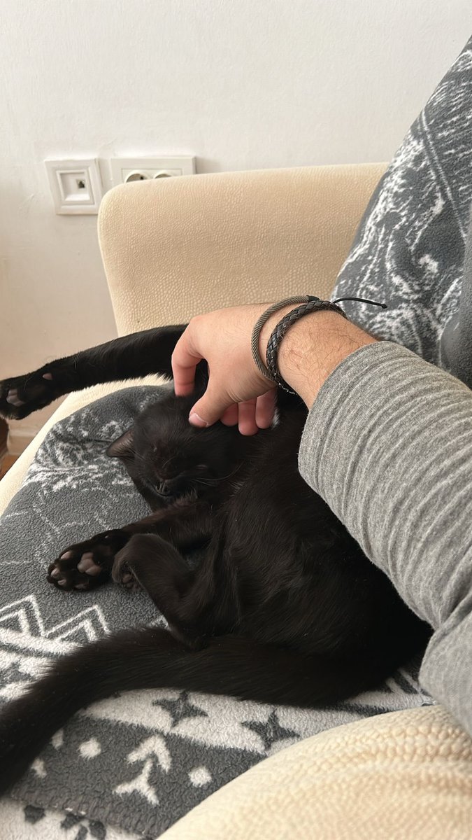 Menim küçük cırbağa da raad 😸