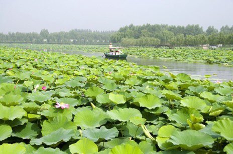 ChinaEmbEsp's tweet photo. 🎑 #MiniReportaje 🇨🇳4️⃣

Modernización Tangible: la China de Hoy - El Sueño de un Hogar Ecológico

Tecnología punta para proteger el medio ambiente en el lago Baiyangdian.

#Ecología 💚🩵 #China #NaturalezaChina https://t.co/ocVJdgjgWz