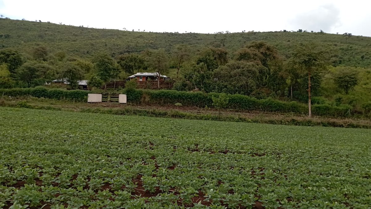 Kings Agricultural Services tweet media