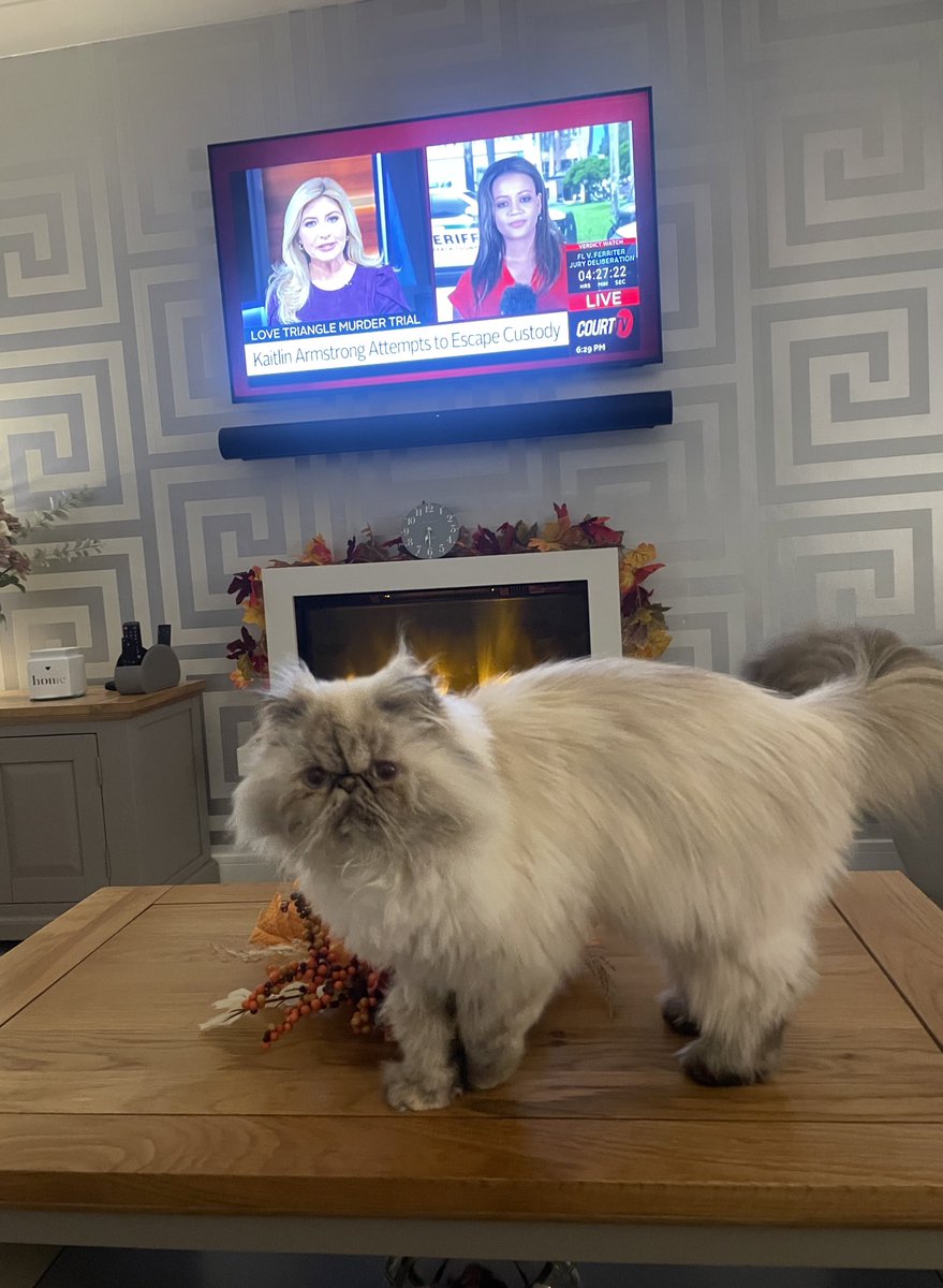 imadriienne's tweet photo. #Alba is back with me today, tuning in to some @CourtTV with #KellyKrapf and @JuliaCourtTV ππ»ππΌ
@CourtTV https://t.co/NgVhQL0UfB
